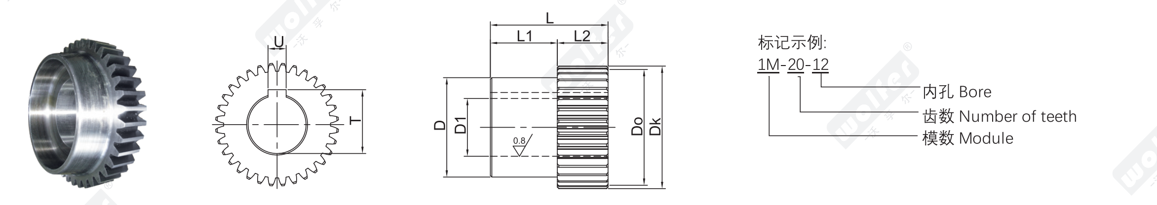Schéma de construction et de désignation des engins d'épi · Oreiller · Nombre de dents · Module